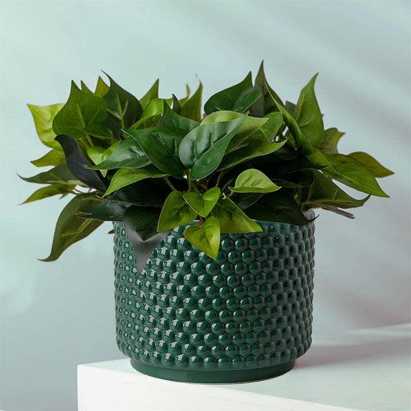 Ceramic Plant Pot Planter Green Dots 15 x 15 x 12.5cm