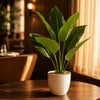 45cm Artificial Aureum Plant - Premium Quality