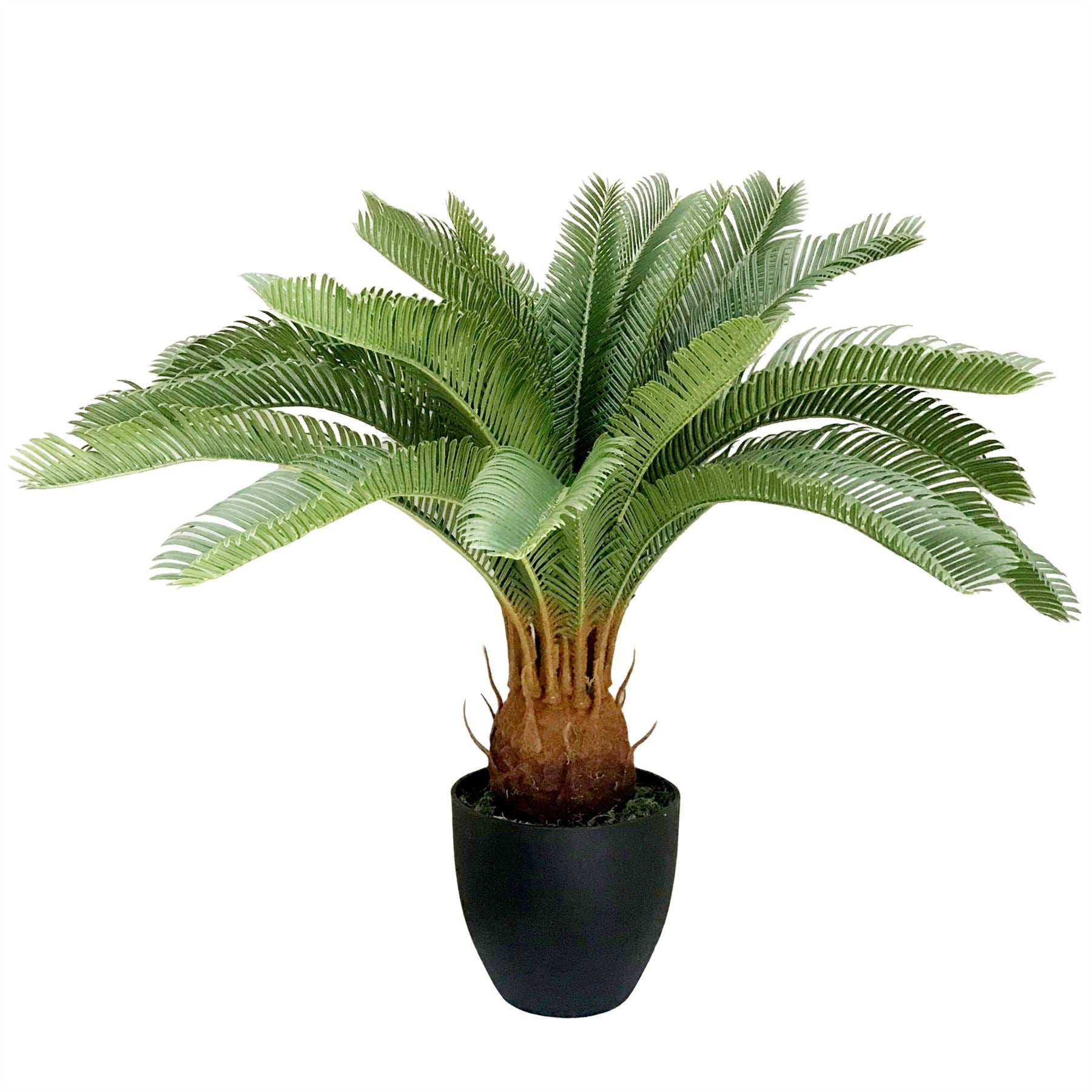 Large Artificial Palm Tree 70cm Cycas Realistic Plant Leaf Design UK Premium Botanik