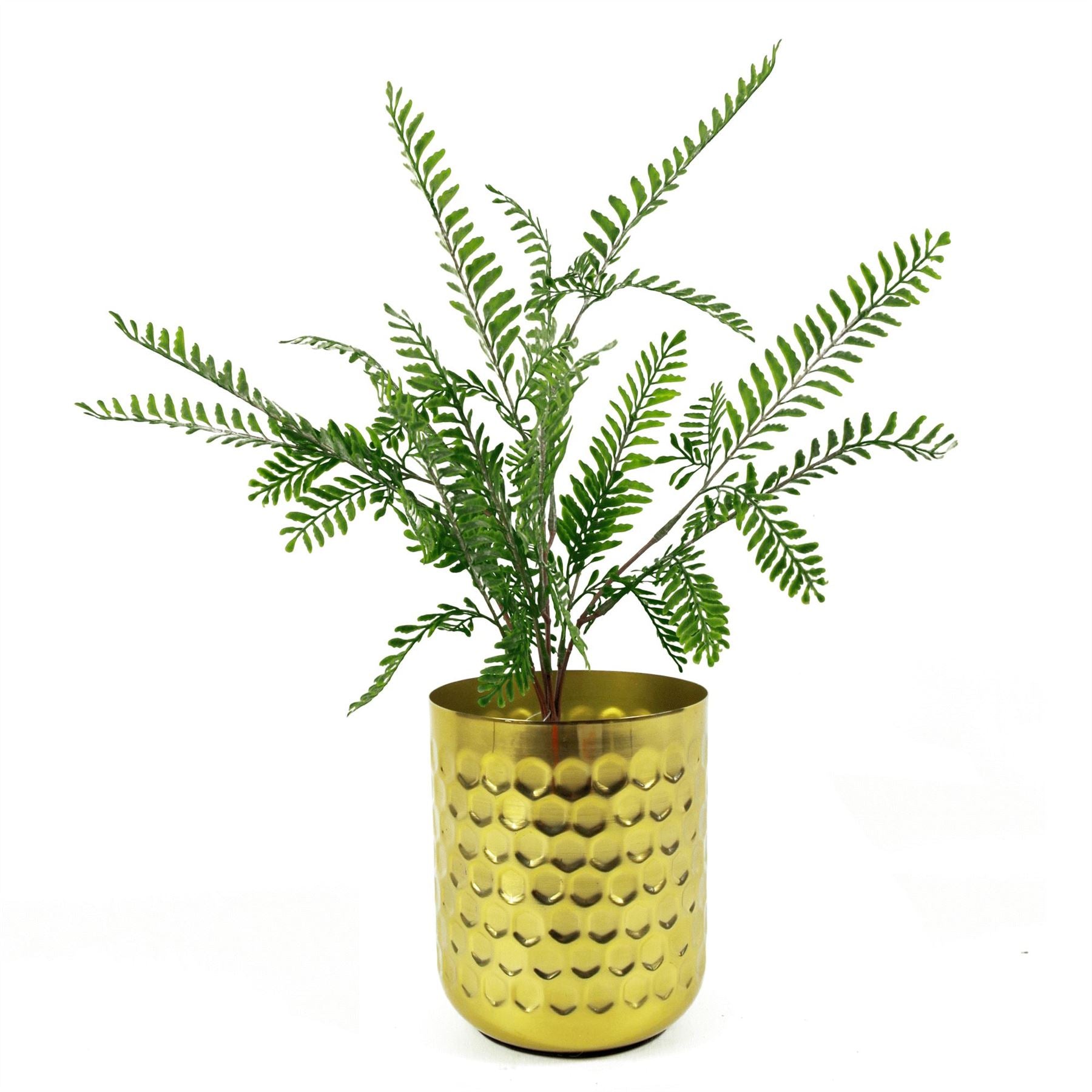 Artificial Fern Plant 55cm Himilayan Maidenhair Pack x 6