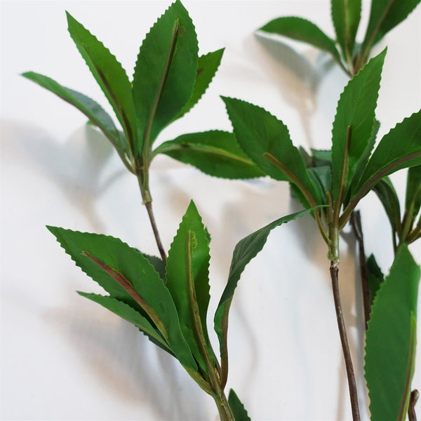 Pack of 6 x 55cm Artificial Laurel Leaf Spray Stem