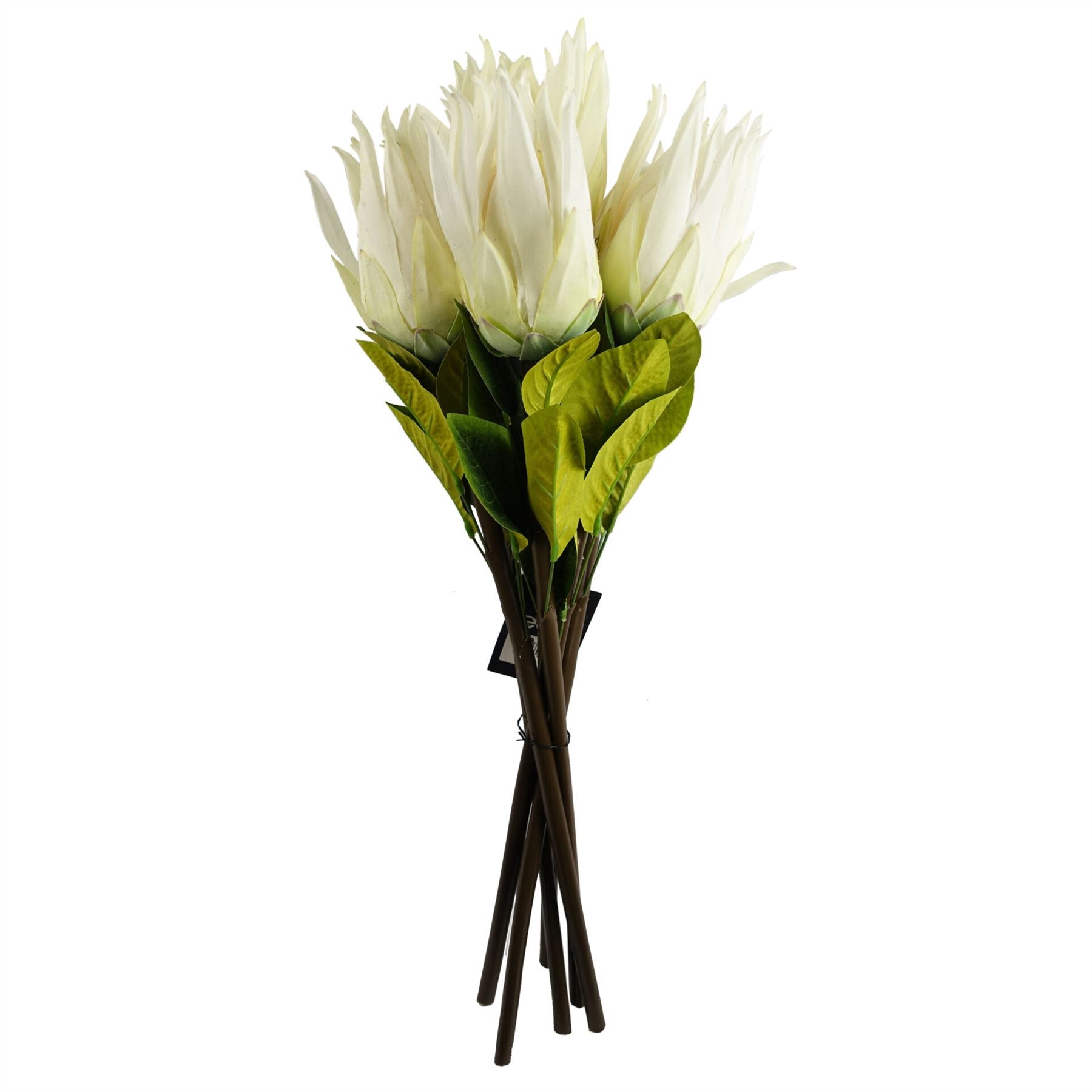 Pack of 6 x 65cm Protea Sugarbush Flower Stem - White