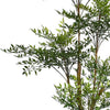 165cm Fire Retardant Nandina Tree with 4857 Leaves - Premium Quality