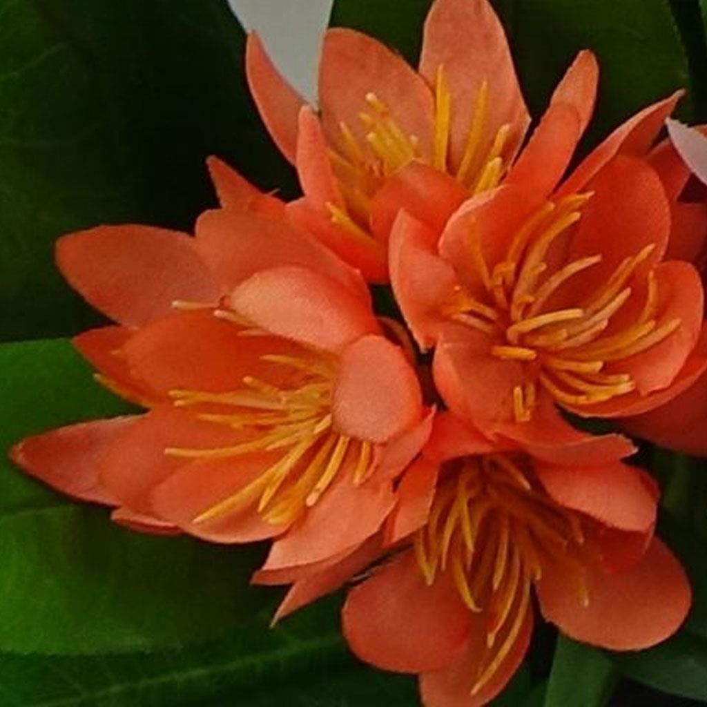 18cm Artificial Freesia Plant Orange Flowering - Premium Quality