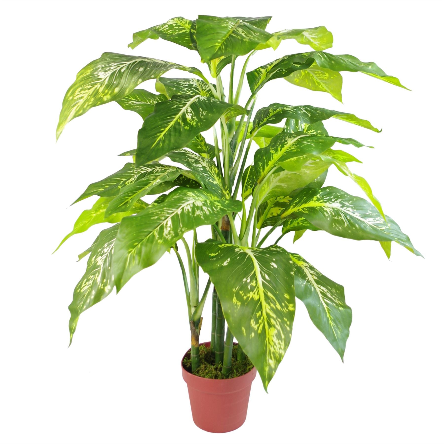 Artificial 100cm Large Fox's Aglaonema (Spotted Evergreen) Tree Plant