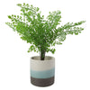 Blue Sand Stripe Ceramic Planter Plant Pot Botanik