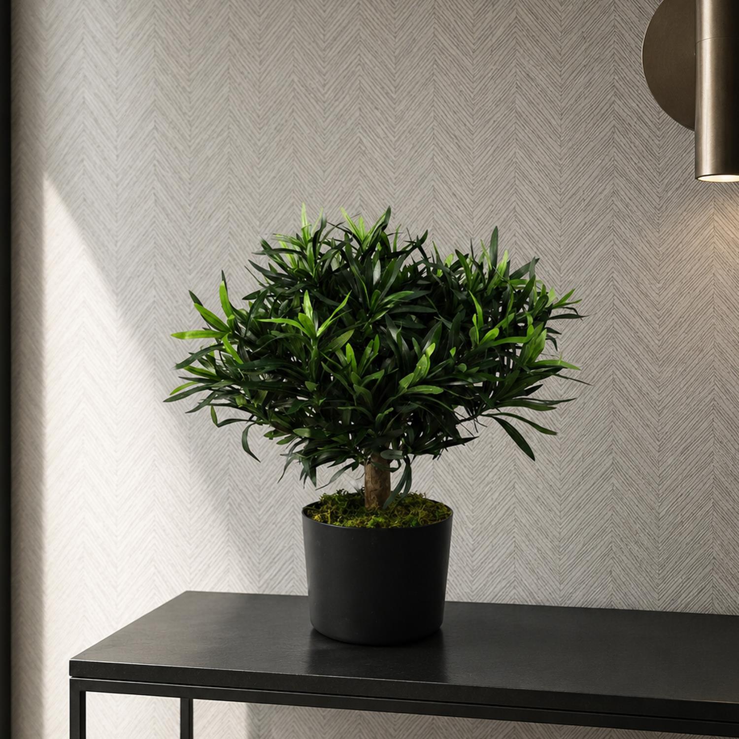Realistic Artificial Bush Plant 40cm Podocarpus - Realistic plant by Botanik