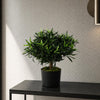 Realistic Artificial Bush Plant 40cm Podocarpus - Realistic plant by Botanik