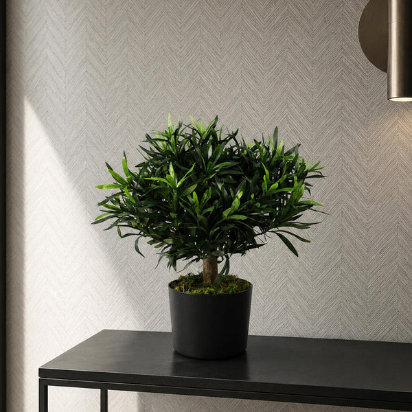Realistic Artificial Bush Plant 40cm Podocarpus - Realistic plant by Botanik