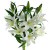 Pack of 6 x 100cm Large White Lily Stem - 18 Flowers - Premium Quality