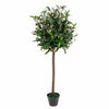 90cm Artificial Olive Bay Style Topiary Fruit Tree