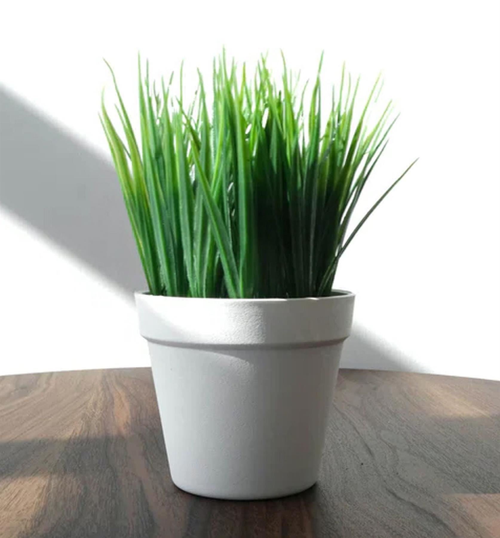 Pack of 6 x 22cm Artificial Grass Plant - Premium Quality