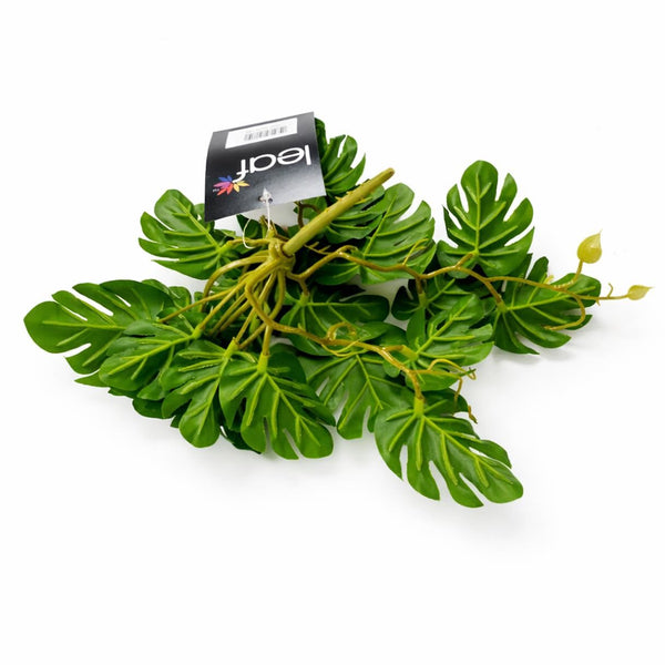 Pack of 6 x 25cm Realistic Monstera Stem Plant - Dark Green