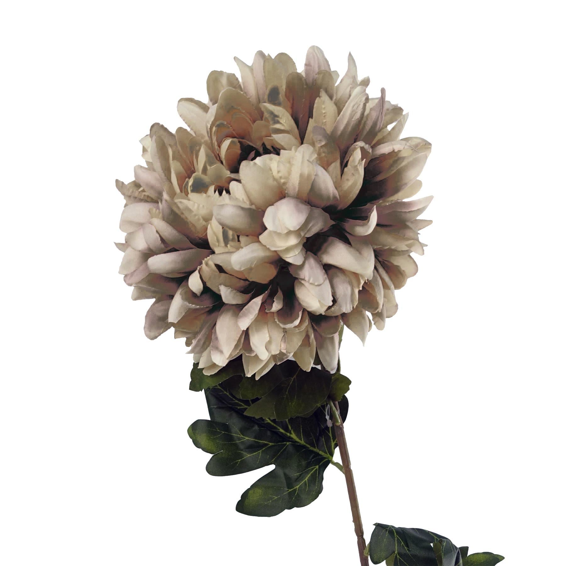Pack of 6 x 75cm Extra Large Reflex Chrysanthemum - Mushroom - Premium Quality