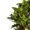 150cm Artificial Croton Tree - Premium Quality