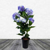 Artificial Large Hydrangea Plant Flowering Bush Blue Botanik