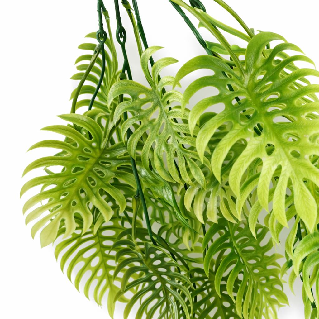 80cm Trailing Tropical Monstera Plant - Light Green