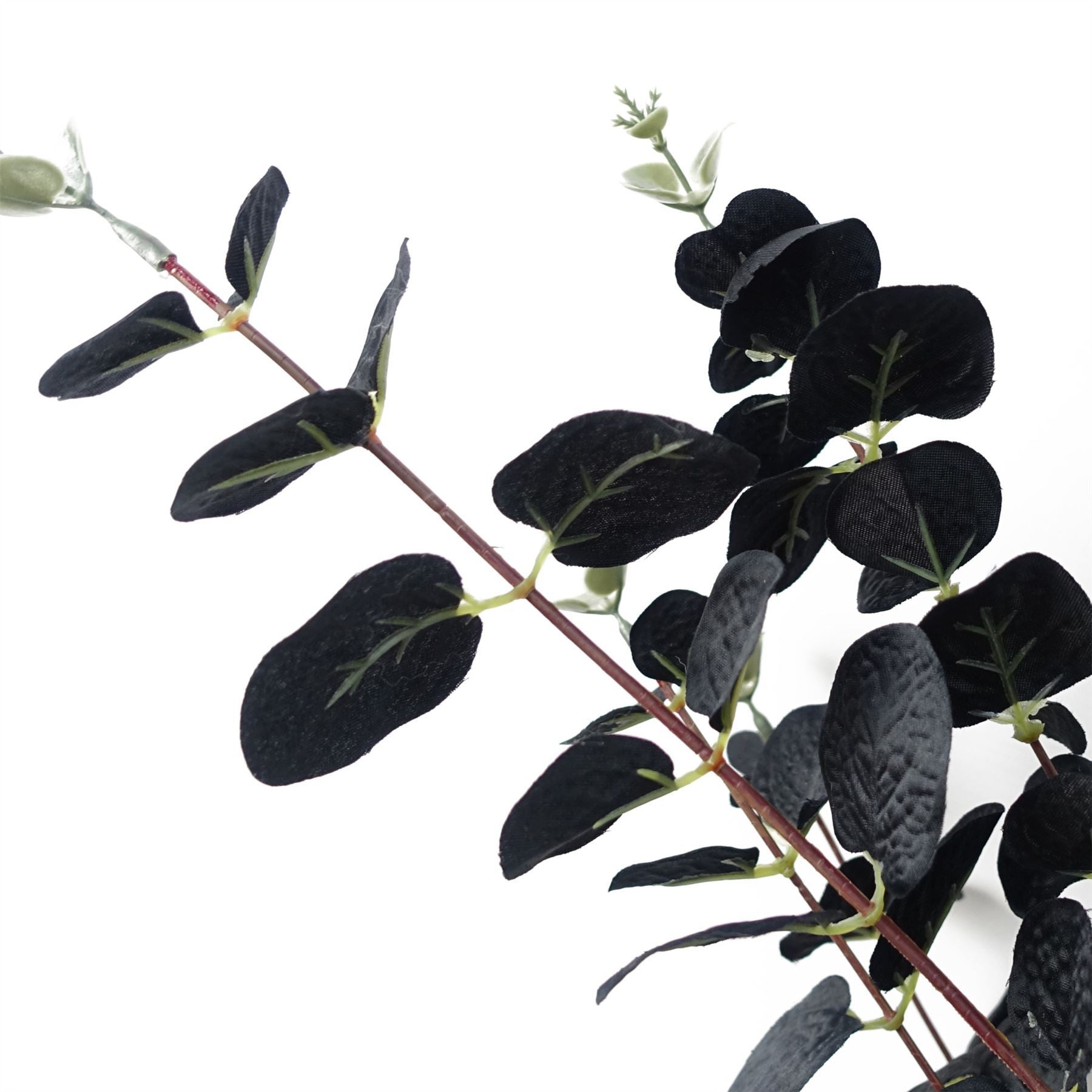 Pack of 6 x 80cm Black Eucalyptus Foliage Stem - Premium Quality