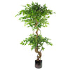 Japanese Fruticosa Ficus Tree Rainbow Planter 150cm Twisted Trunk Artificial Botanik