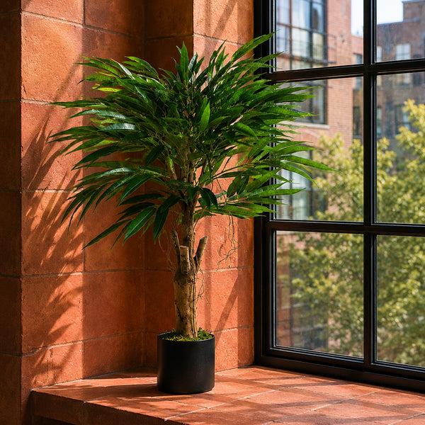 Realistic Artificial Tree Longifolia Ficus Natural Trunk Botanik