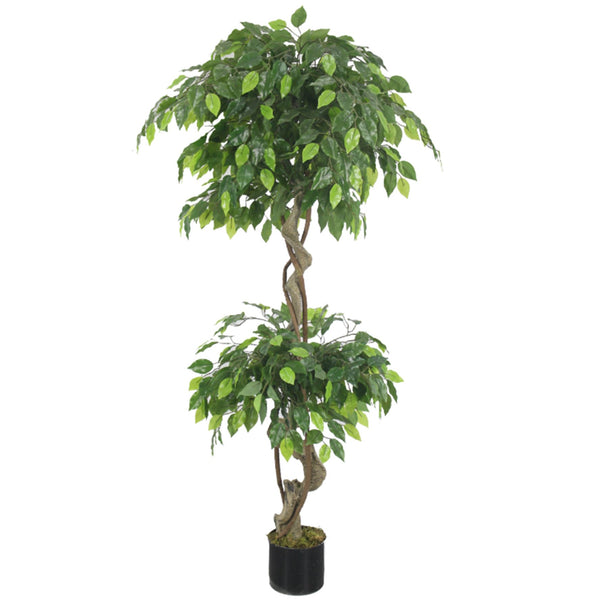 Artificial 150cm Twisted Ficus Tree