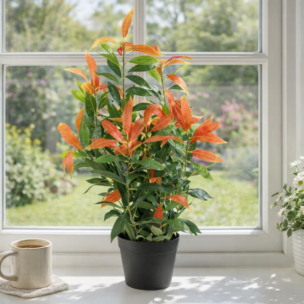 80cm Artificial Red and Green Ficus Plant