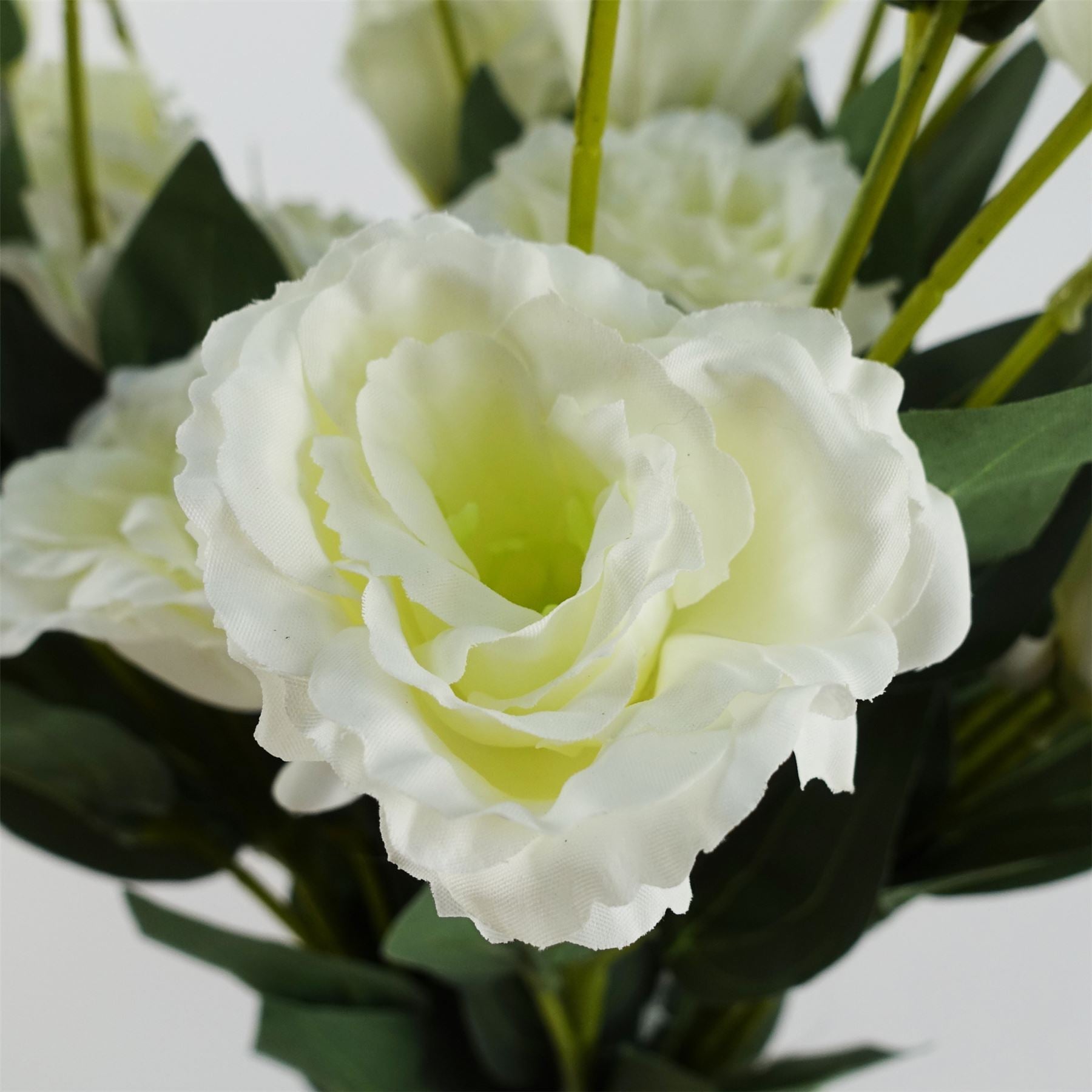 Pack of 6 x Artificial Flowers White Wild Rose Stem - 6 Flowers 80cm