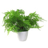 Artificial Fern Plant 30cm Botanical Fern 30cm Display