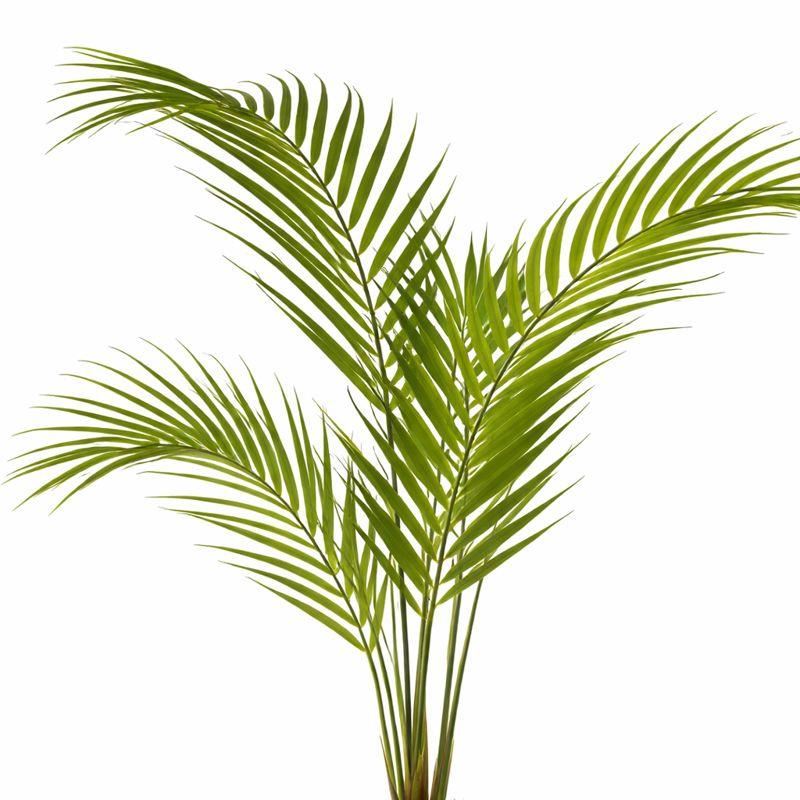 70cm Artificial Areca Palm Tree - Premium Quality