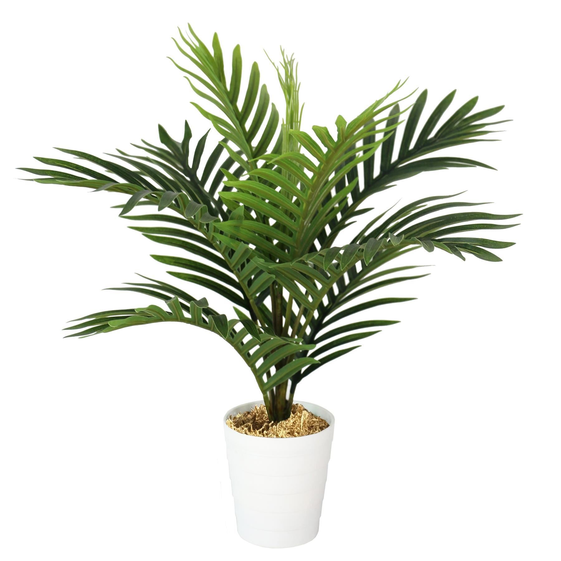 Pack of 6 x 50cm Artificial Mini Palm Tree - Premium Quality