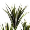 UV Resistant Yucca Tree 179 Leaves