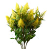 Pack of 6 x 55cm Callistemon Pallidus Yellow Bottle Brush Stem - Premium Quality