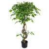 Artificial Japanese Fruticosa Tree Twisted Ficus 120cm Leaf Design UK Botanik