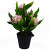 3x 18cm Artificial Freesia Plants Pink, White, Blue Flowering - Premium Quality
