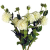 Dhalia PomPom Artificial Flowers Cream