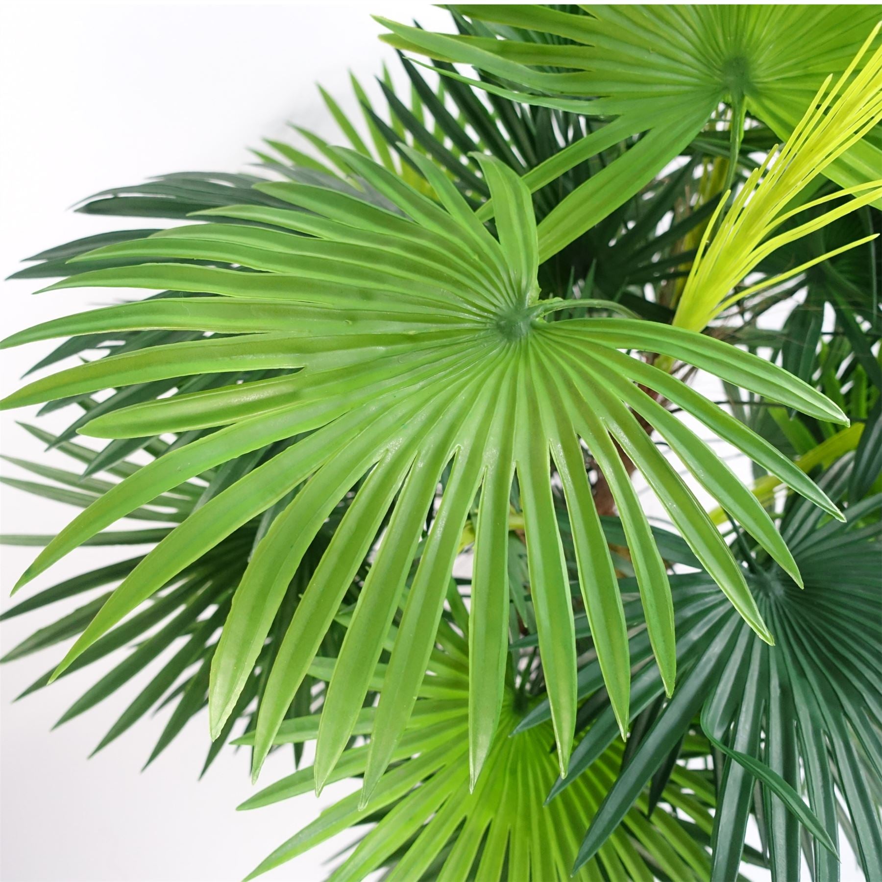 Fan Palm Artificial Tree 90cm - Realistic plant by Botanik