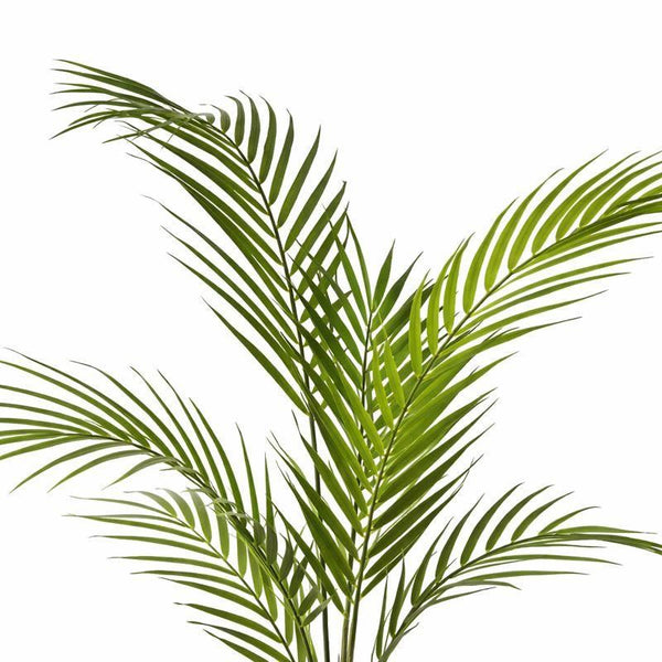70cm Artificial Areca Palm Tree - Premium Quality