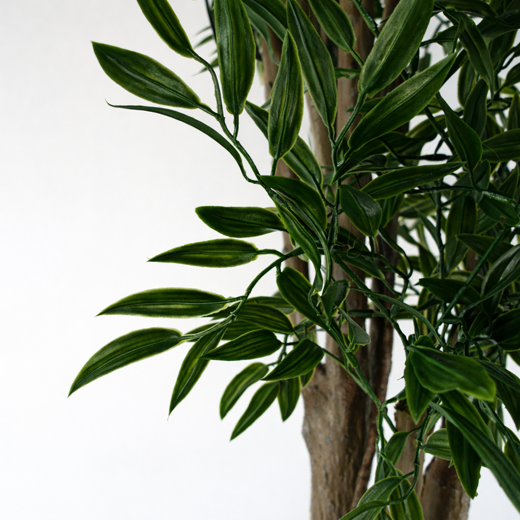 UV Resistant Ruscus Tree- 2716 leaves