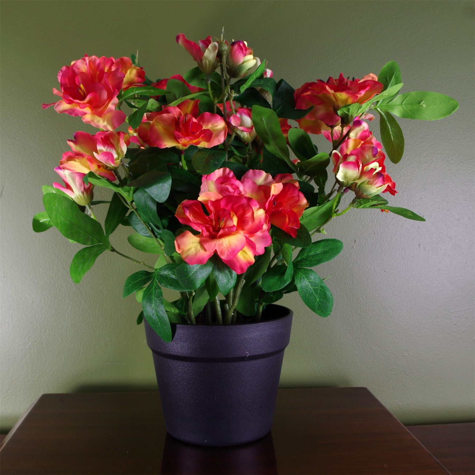 Artificial Rhododendron  Plant Flowers Flowering Plant Orange Botanik