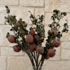 Pack of 6 x 75cm Artificial Pomegranate Stem Artificial Red