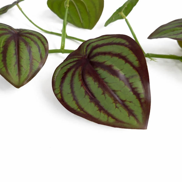 160cm Artificial Watermelon Peperomia Botanik Garland Hanging Decoration - Premium Quality