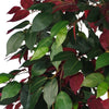 Artificial 120cm Leaf Realistic Ficus Tree / Plant