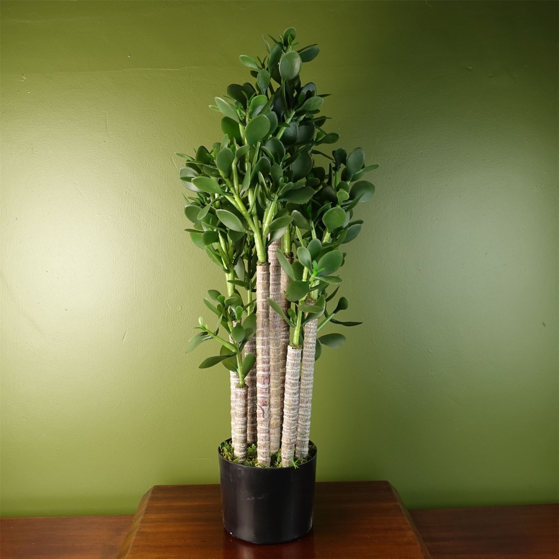 Artificial Large Plant Shrub Green Jade 75cm Tall Botanik