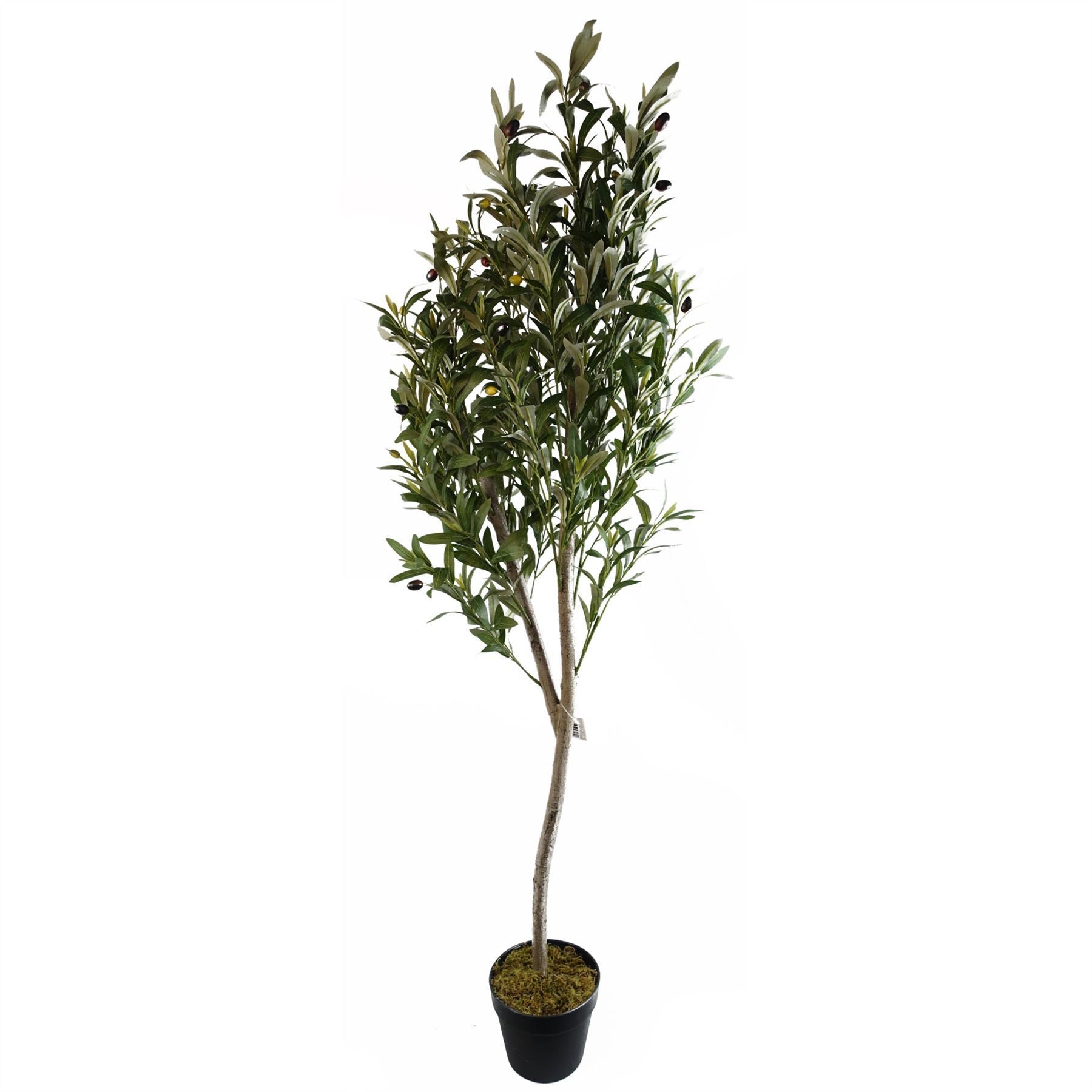 180cm Artificial Natural Look Olive Tree with Wooden Trunk - Premium Quality