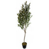 180cm Artificial Natural Look Olive Tree with Wooden Trunk - Premium Quality