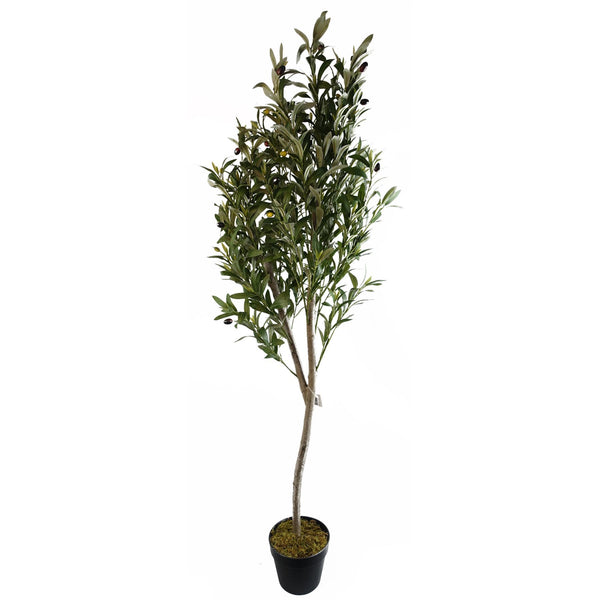 180cm Artificial Natural Look Olive Tree with Wooden Trunk - Premium Quality
