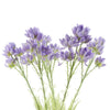 Pack of 6 x Artificial Flowers Purple Starflower Stem - 5 Flowers 60cm