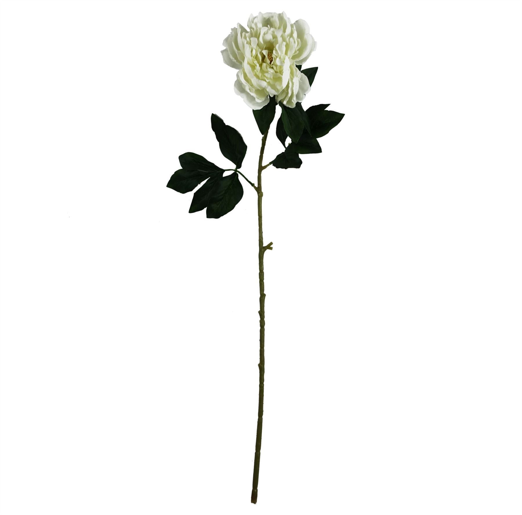 Pack of 6 x 80cm Artificial Cream Peony Stem - Premium Quality