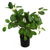 Large Artificial Foliage Plant Pot Plastic weighted pot 40cm Artificial Pothos Botanik