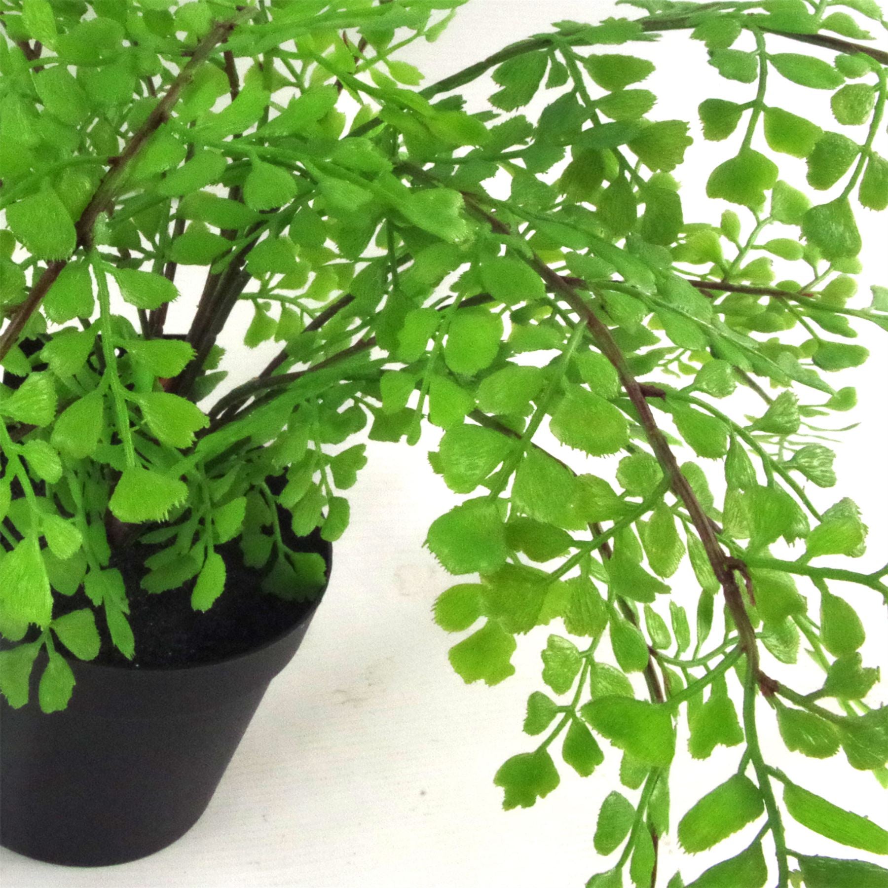 Artificial Potted Fern Plant (Southern Maidenhair Fern) 35cm